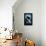 Orcas Island, Washington - Orca and Calf Scratchboard-Lantern Press-Framed Stretched Canvas displayed on a wall