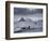 Orcas (Orcinus Orca) Pair in Sea Surrounded by Mountains, Iceland, January-Ben Hall-Framed Photographic Print