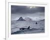 Orcas (Orcinus Orca) Pair in Sea Surrounded by Mountains, Iceland, January-Ben Hall-Framed Photographic Print