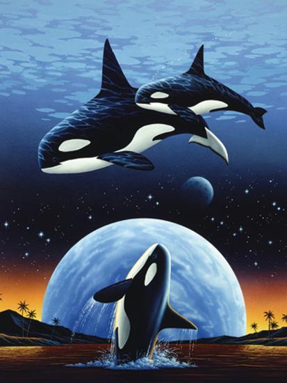 Art Print, , large