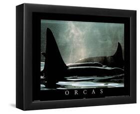 Orcas-null-Framed Mini Poster