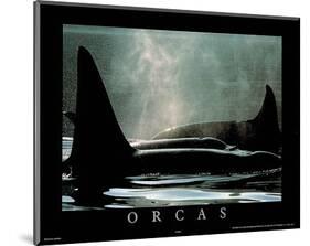 Orcas-null-Mounted Mini Poster