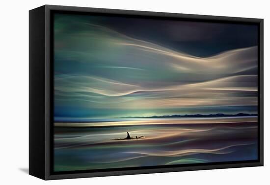 Orcas-Ursula Abresch-Framed Stretched Canvas