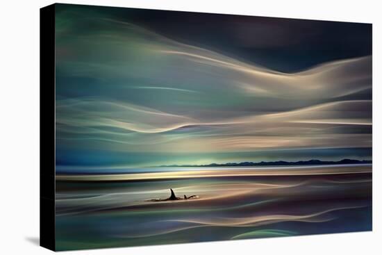 Orcas-Ursula Abresch-Stretched Canvas