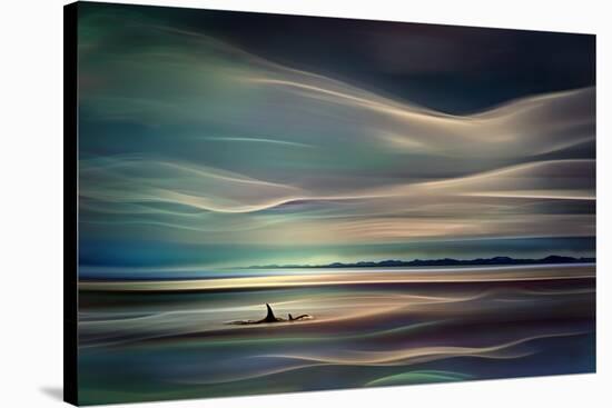Orcas-Ursula Abresch-Stretched Canvas