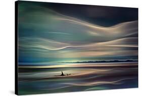 Orcas-Ursula Abresch-Stretched Canvas