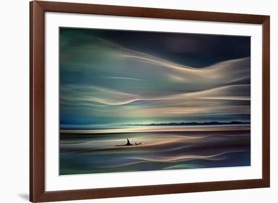 Orcas-Ursula Abresch-Framed Photographic Print