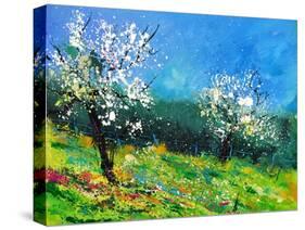 Orchard 564150-Pol Ledent-Stretched Canvas