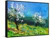 Orchard 564150-Pol Ledent-Framed Stretched Canvas