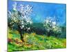 Orchard 564150-Pol Ledent-Mounted Art Print
