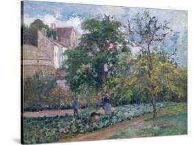 Orchard at Maubisson, Pontoise, 1876-Camille Pissarro-Stretched Canvas