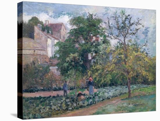 Orchard at Maubisson, Pontoise, 1876-Camille Pissarro-Stretched Canvas
