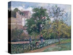 Orchard at Maubisson, Pontoise, 1876-Camille Pissarro-Stretched Canvas