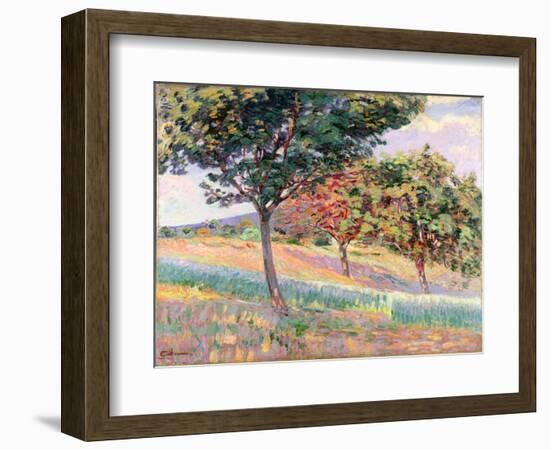 Orchard at St. Cheron, 1893-Armand Guillaumin-Framed Giclee Print