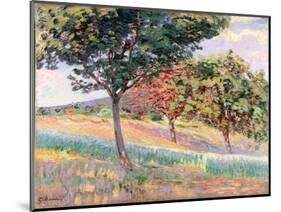 Orchard at St. Cheron, 1893-Armand Guillaumin-Mounted Giclee Print