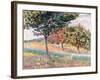 Orchard at St. Cheron, 1893-Armand Guillaumin-Framed Giclee Print