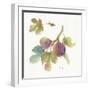 Orchard Bloom III-Lisa Audit-Framed Art Print