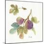 Orchard Bloom III-Lisa Audit-Mounted Art Print