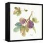 Orchard Bloom III-Lisa Audit-Framed Stretched Canvas