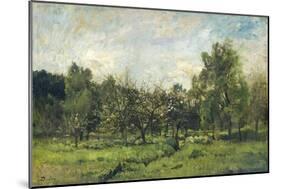 Orchard, C. 1865-69-Charles Francois Daubigny-Mounted Art Print