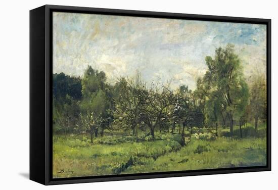 Orchard, C. 1865-69-Charles Francois Daubigny-Framed Stretched Canvas