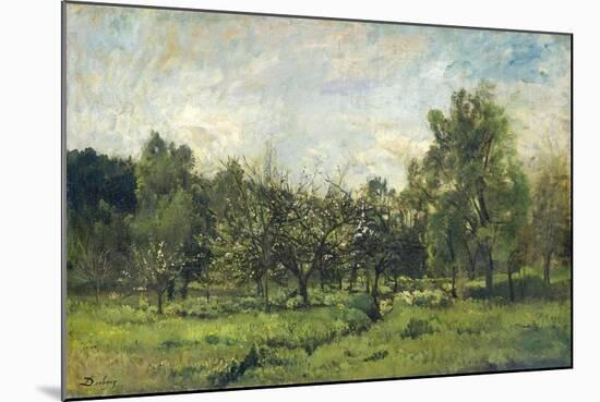 Orchard, C. 1865-69-Charles Francois Daubigny-Mounted Art Print