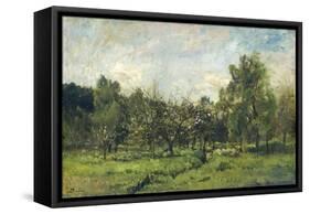 Orchard, C. 1865-69-Charles Francois Daubigny-Framed Stretched Canvas