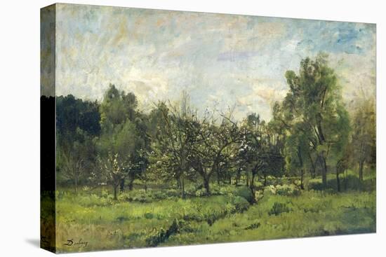 Orchard, C. 1865-69-Charles Francois Daubigny-Stretched Canvas