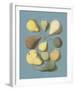 Orchard Fruits I-A^ Poiteau-Framed Giclee Print