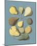 Orchard Fruits I-A^ Poiteau-Mounted Giclee Print