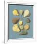 Orchard Fruits I-A^ Poiteau-Framed Giclee Print