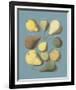 Orchard Fruits I-A^ Poiteau-Framed Giclee Print