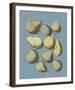 Orchard Fruits II-A^ Poiteau-Framed Giclee Print