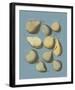 Orchard Fruits II-A^ Poiteau-Framed Giclee Print