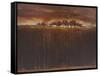 Orchard Glow-Terri Burris-Framed Stretched Canvas