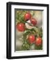 Orchard Guest-William Vanderdasson-Framed Premium Giclee Print