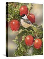 Orchard Guest-William Vanderdasson-Stretched Canvas