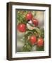 Orchard Guest-William Vanderdasson-Framed Giclee Print