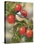 Orchard Guest-William Vanderdasson-Stretched Canvas