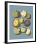 Orchard Harvest I-A^ Poiteau-Framed Giclee Print