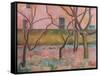 Orchard I, 1918-Nina Hamnett-Framed Stretched Canvas