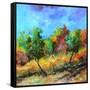 Orchard in autumn-Pol Ledent-Framed Stretched Canvas