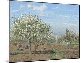 Orchard in Bloom, Louveciennes, 1872-Camille Pissarro-Mounted Giclee Print