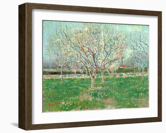 Orchard in Blossom, 1880-Vincent van Gogh-Framed Giclee Print