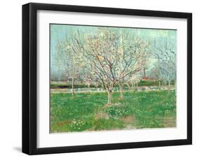 Orchard in Blossom, 1880-Vincent van Gogh-Framed Giclee Print