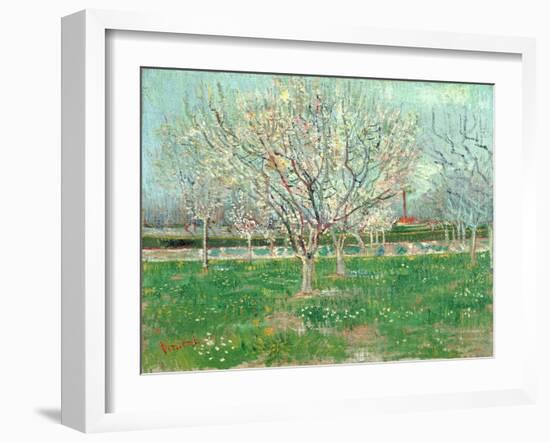 Orchard in Blossom, 1880-Vincent van Gogh-Framed Giclee Print