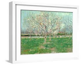 Orchard in Blossom, 1880-Vincent van Gogh-Framed Giclee Print