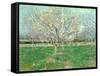 Orchard in Blossom, 1880-Vincent van Gogh-Framed Stretched Canvas