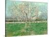 Orchard in Blossom, 1880-Vincent van Gogh-Stretched Canvas