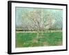 Orchard in Blossom, 1880-Vincent van Gogh-Framed Giclee Print